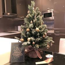 Christmas tree shop 35 light. Mini Christmas Tree Set Shopee Singapore