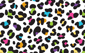 This colorful and fun animal print reversible gift wrap is sure to bring a little wild to their big day. Colorful Leopard Iphone Wallpapers Desktop Background