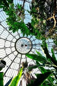pin by diane griffith on glass enclosures orangerie glass green houses glass green house glass house garden room
