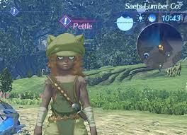 Once you have access to online functionality, the first thing you can do is choose a squad. Pettle Xenoblade Wiki Fandom