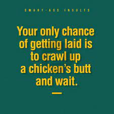 Jeremy glass | dec 16, 2020 it's hard to beat the amount of comfort and joy you get watching a perfectly browned, roasted chicken emerge from the oven. 19 Best Roasts Funny Roasts 19 Best Insults For Friends