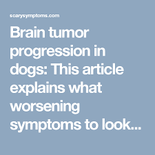 Brain surgery requires putting your dog under anesthesia, surgically removing the skullcap, having the tumor surgically debulked (which is a nice. Pin By Lavonda Sanders On Lulu My Baby Girl Brain Tumor Brain Tumor Symptoms Tumor