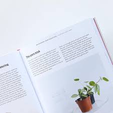 How to raise a plant. How To Raise A Plant Pigment