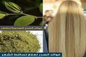 وصفة مطحون ورق السدر لفرد الشعر وتطويله وتنعيمه projects to try vegetables celery