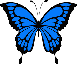 Download Colored Butterflies Svg Cut Files Free Svg Files