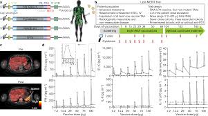 When do you put k in sigma notation? An Rna Vaccine Drives Immunity In Checkpoint Inhibitor Treated Melanoma Nature