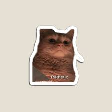 The best gifs are on giphy. Cat Meme Pathetic Home Living Redbubble