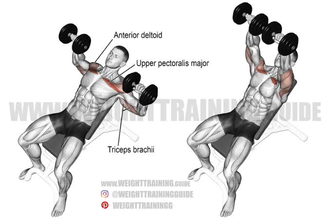 Incline Dumbbell Press
