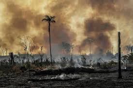 Drought collapsing the food supply, lawlessness collapsing blue cities as america plunges toward third world chaos. Brazil Address Lawlessness In The Amazon Human Rights Watch