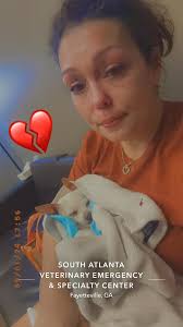 Tribute to a beloved Chihuahua pet Bella Marie