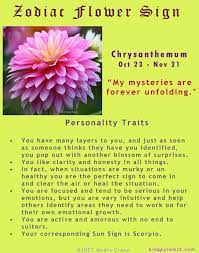 Zodiac Flower Sign Chrysanthemum Zodiac Flower Sign Zodiac Flower Flower Sign