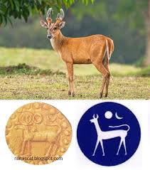 Lanai kijang, bank negara malaysia. Numiscat Bank Negara Malaysia Bank Pusat Malaysia