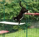 Enclos | Enclos d'extérieur large et spacieux pour chat | Omlet