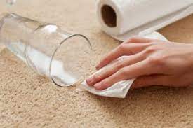 How To Remove Milk From Your Carpet At Home - Cleaner Cleaner