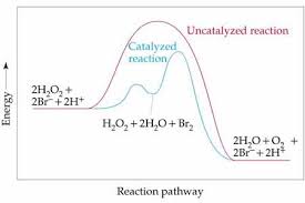 The balanced chemical equation is: Chemistry The Central Science Chapter 14 Section 6