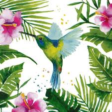 Photo et images libres de droits pour plantes tropicales. Serviette Pastel Oiseau Colibri Dans Les Fleurs Tropicales Hibiscus Peinture Colibri Dessin Nature Fleurs Tropicales