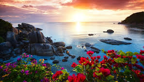 Maybe you would like to learn more about one of these? Comment Aller De Surat Thani A Koh Samui Des 6