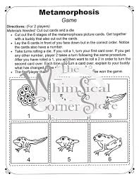Metamorphosis Mini Lessons Metamorphosis Drawing Activities