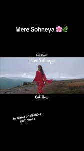 🌿“Mere Sohneya” my brand new track is OUT NOW and available