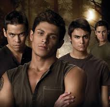 Pin By Emma Perron On Twilight Saga 1 Twilight Saga New Moon Twilight Film Twilight Facts