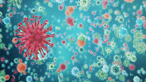 The strict lockdown will bring social and economic life in malaysia to a standstill. Coronavirus Malaysia Covid 19 Updates Cases Measures And Impact