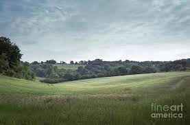 In the woods(песня из сериала кухня) — aron wright. Fields And Woods In Hampshire England Photograph By Perry Rodriguez
