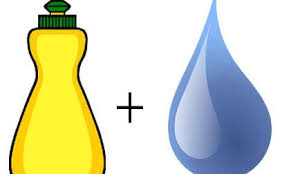 Check spelling or type a new query. Epingle Sur Puces