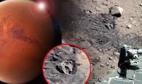 Welcome to reddit when i was a kid, the viking probe landed on mars. Nasa Conspiracy Space Agency S Spirit Rover Destroys Alien Dinosaur Skull On Mars Weird News Express Co Uk