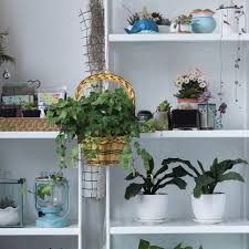 Kendin yap dekorasyon fikirleriyle duvarlarınız, evinizin çeşitli birçok yeri sizin elinizden çıkmış çok tatlı eşyalarla renkleniyor. Kendin Yap Yapay Ciceklerle Uygulayabilecegin 3 Farkli Dekorasyon Onerisi Biboya Com Tr