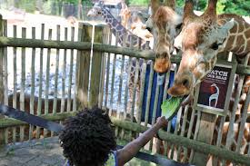 You will be able to spend quality time with your baby, play together, and have loads of fun while also teaching him/her important developmental skills. 16 Of The Best Things To Do In Atlanta With Kids The Mom Trotter