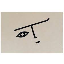 Sarah K On Instagram Woke Up Blind In One Eye There Was A Diagram On The Wall At The Opthamologists With A Butterfly In The Blinds Wake Up Diagram