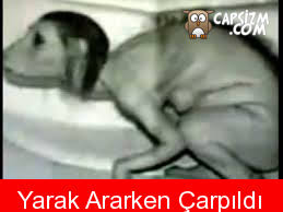 YARAK ile ilgili görsel sonucu