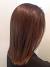 Shades Brown Hair Colors