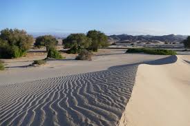 However, accessibility in the park is limited and most species can be found more easily south of the park. Skeleton Coast National Park And Kaokoland Safari Consultants