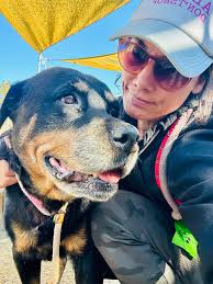 Needs rescue 🙏❤️‍🩹 Long Beach, CA 11yrs old