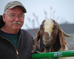 Which one is the old goat?