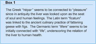 Exploring the theory and practice of divination. The City Of Hepar Rituals Gastronomy And Politics At The Origins Of The Modern Names For The Liver Journal Of Hepatology