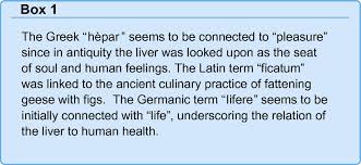 Check spelling or type a new query. The City Of Hepar Rituals Gastronomy And Politics At The Origins Of The Modern Names For The Liver Journal Of Hepatology