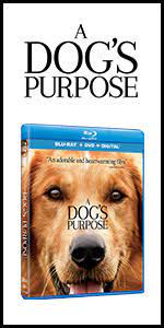 Supercoloring.com is a super fun for all ages: Amazon Com A Dog S Purpose A Novel For Humans A Dog S Purpose 1 9780765388100 Cameron W Bruce Books