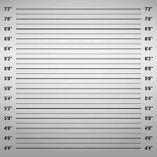 Police Lineup Mugshot In 2020 Mugshot Background Mug Shots Episode Interactive Backgrounds