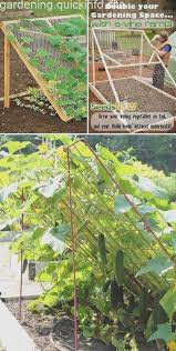 19 Erfolgreiche Wege Zum Bau Von Diy Gerusten Fur Gemuse Und Obst Erfolgreich Garten Garten Ideen Garten Pflanzen