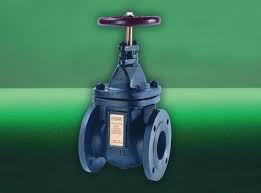 Crane Gate Valve Pn6 100Mm Cast Iron | Wolseley