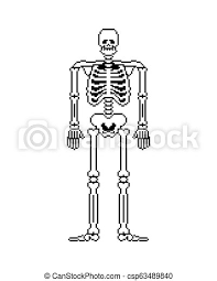 Maybe you would like to learn more about one of these? Skeleton Pixel Art Skull And Bones Anatomy 8 Bit Pixelate Pelvic Bone And Ribs Spine And Vertebrae Human Bone System Canstock