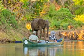 Canoeing The Zambezi Zimbabwe Canoeing Adventure Zambezi Zimbabwe Africa Adventure Canoe Trip Zambezi