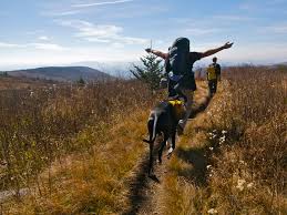 Saturday, june 5, 2021 in rogers the weather will be like this: Hiking The At Glorious Grayson Highlands Travels With The Blonde Coyote