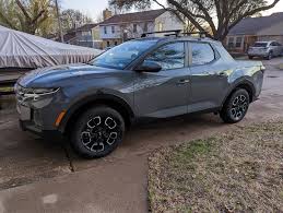 Image result for Hampton Gray 2023 Santa Cruz