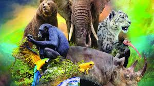 Animal extinctions may be caused by natural occurrences such as climatic heating or cooling or changes in sea levels. 5 Ways You Can Help Prevent Animal Extinction