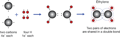 Each fluorine atom has six electrons, or three pairs of electrons, that are not participating in the covalent bond. Covalent Bonding