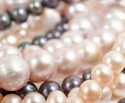 So, where do conch pearls come from? How Do I Use Loose Pearls With Pictures