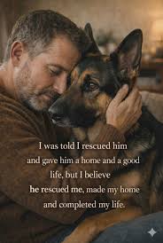 They say I rescued him and gave him a home. What they miss is how a German  Shepherd gives loyalty that rebuilds a life. Shepherds do not just live  beside you, they